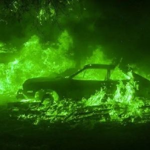 Meet your Posher, Caleb